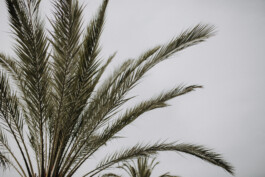  Fotografie I Social Media I Content Design