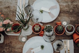  Fotografie I Social Media I Content Design