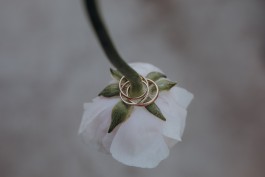  Fotografie I Social Media I Content Design