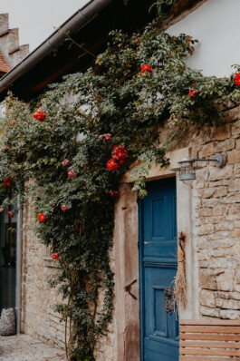  Fotografie I Social Media I Content Design