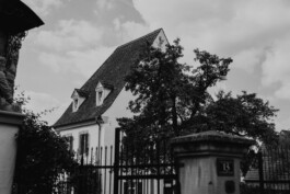  Fotografie I Social Media I Content Design