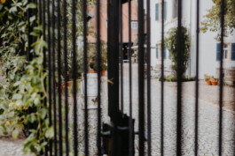  Fotografie I Social Media I Content Design