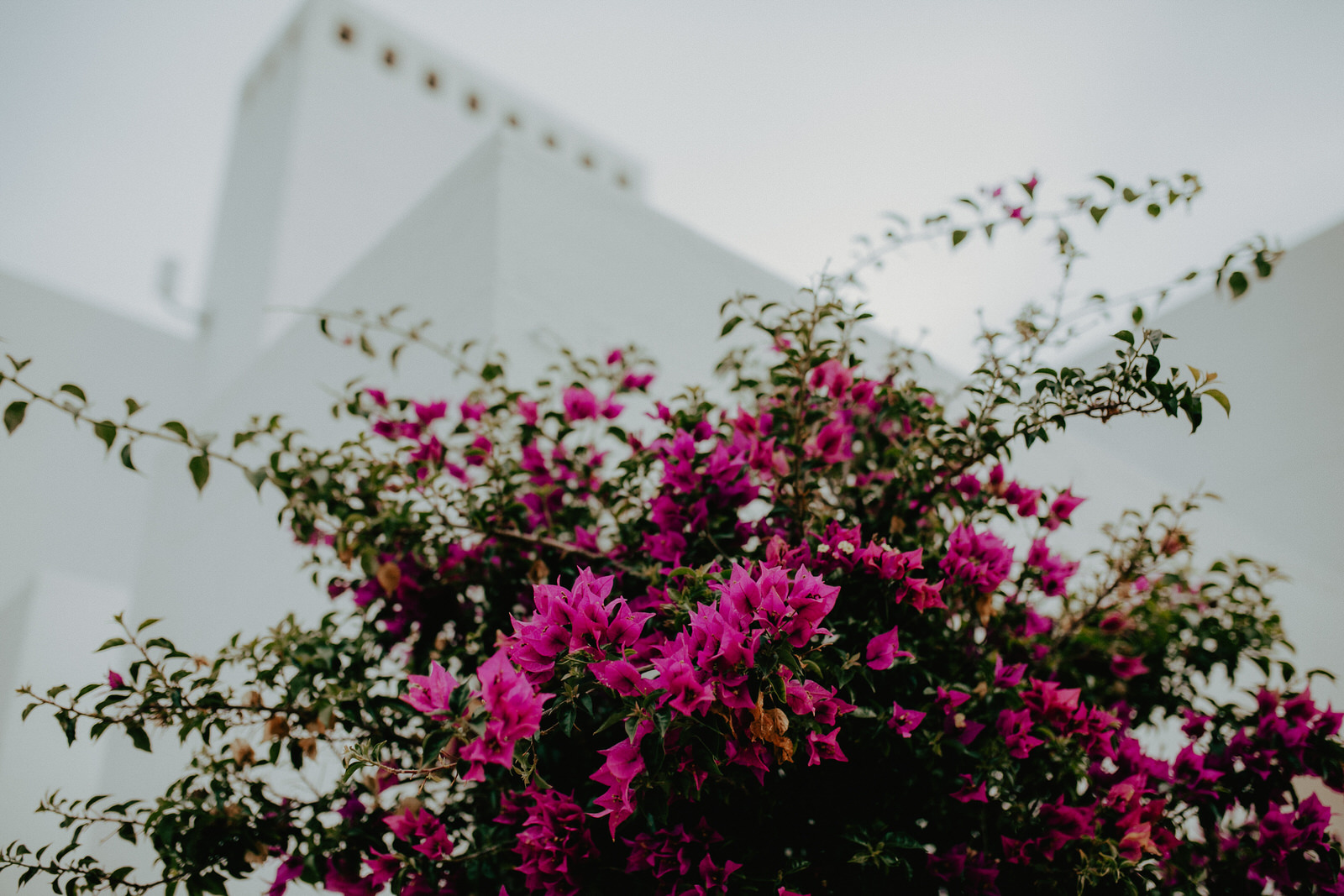  Fotografie I Social Media I Content Design