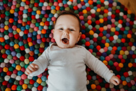  Fotografie I Social Media I Content Design