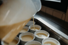  Fotografie I Social Media I Content Design