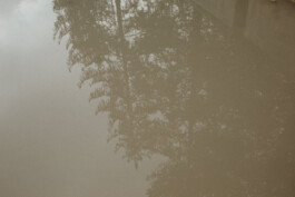  Fotografie I Social Media I Content Design