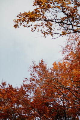  Fotografie I Social Media I Content Design