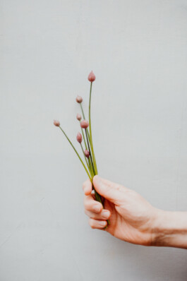  Fotografie I Social Media I Content Design