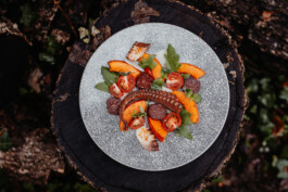  Fotografie I Social Media I Content Design