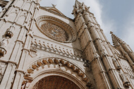  Fotografie I Social Media I Content Design