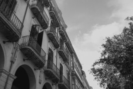  Fotografie I Social Media I Content Design