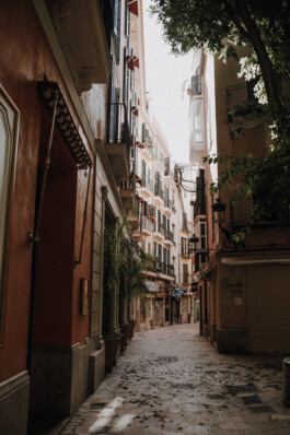  Fotografie I Social Media I Content Design